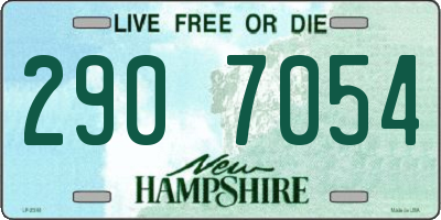 NH license plate 2907054