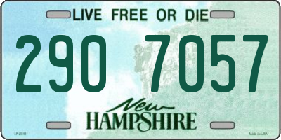 NH license plate 2907057