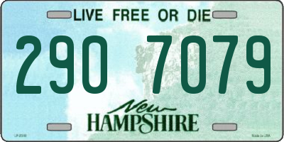 NH license plate 2907079