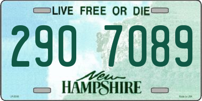 NH license plate 2907089