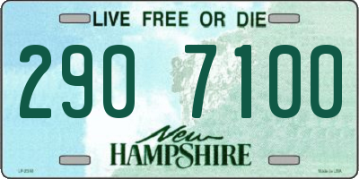 NH license plate 2907100