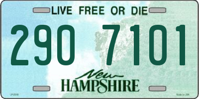 NH license plate 2907101