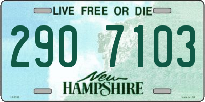 NH license plate 2907103