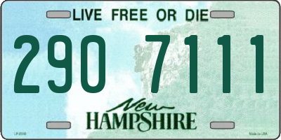 NH license plate 2907111