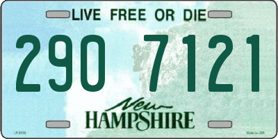 NH license plate 2907121