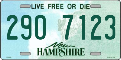 NH license plate 2907123