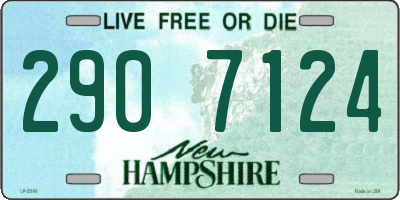 NH license plate 2907124