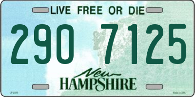 NH license plate 2907125