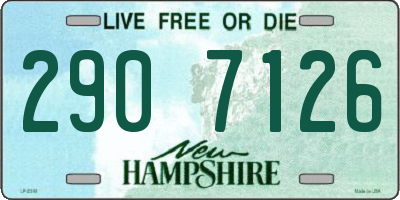NH license plate 2907126