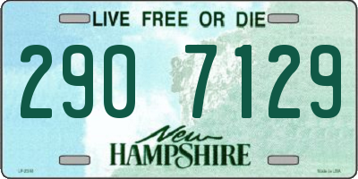 NH license plate 2907129