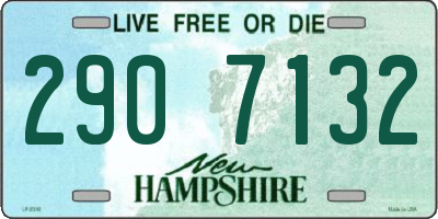 NH license plate 2907132
