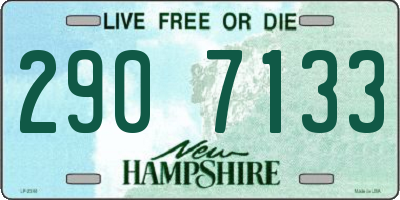 NH license plate 2907133