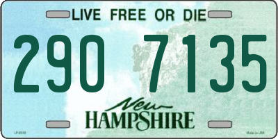 NH license plate 2907135