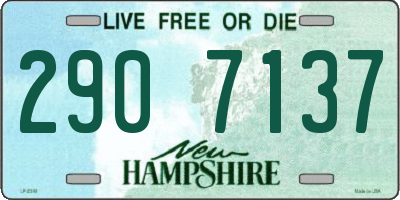 NH license plate 2907137