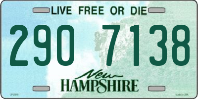 NH license plate 2907138