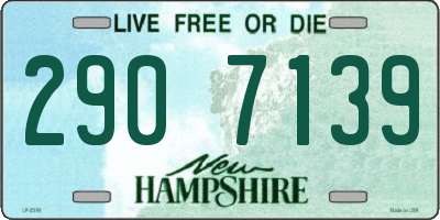 NH license plate 2907139