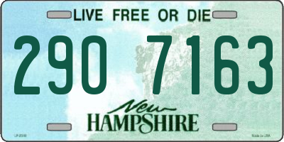 NH license plate 2907163