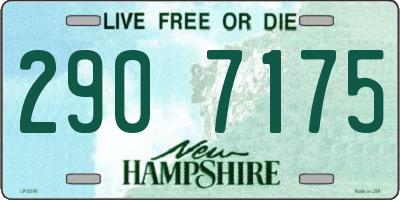 NH license plate 2907175
