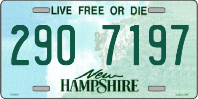 NH license plate 2907197