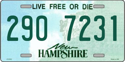 NH license plate 2907231