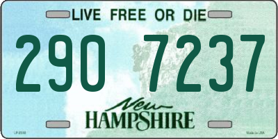 NH license plate 2907237