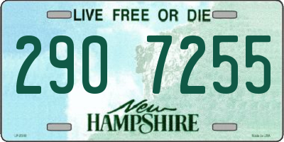 NH license plate 2907255