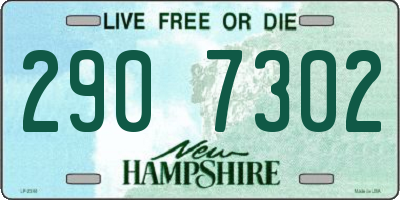 NH license plate 2907302