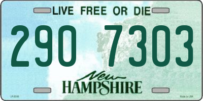 NH license plate 2907303