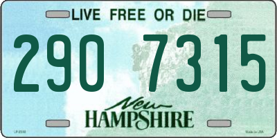NH license plate 2907315