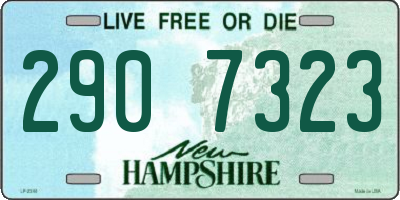 NH license plate 2907323