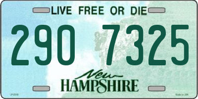 NH license plate 2907325