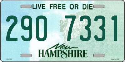 NH license plate 2907331