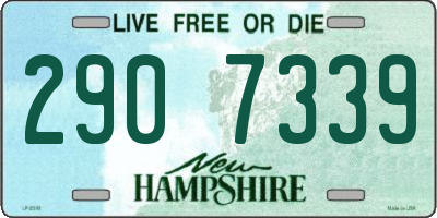 NH license plate 2907339