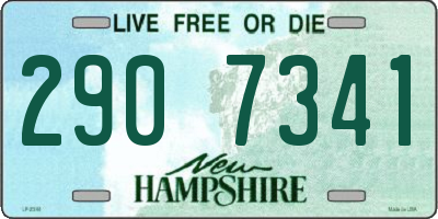 NH license plate 2907341