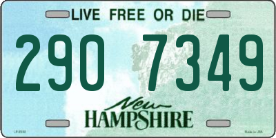 NH license plate 2907349