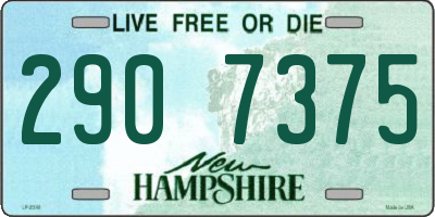 NH license plate 2907375