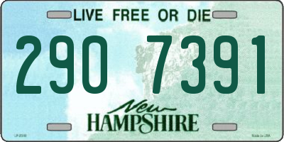 NH license plate 2907391