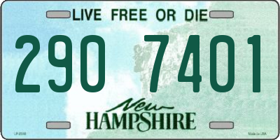 NH license plate 2907401