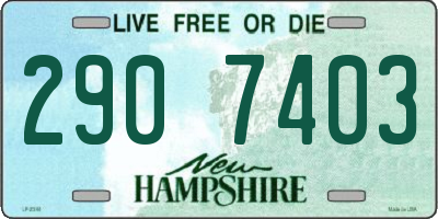 NH license plate 2907403