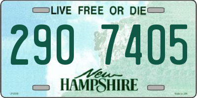 NH license plate 2907405