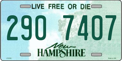 NH license plate 2907407