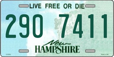 NH license plate 2907411