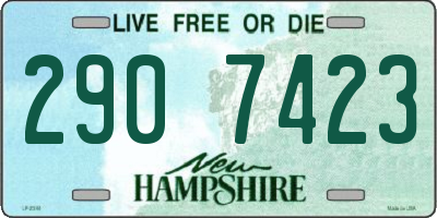 NH license plate 2907423