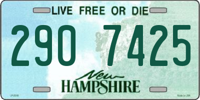 NH license plate 2907425