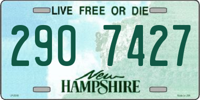 NH license plate 2907427