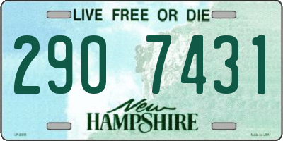 NH license plate 2907431