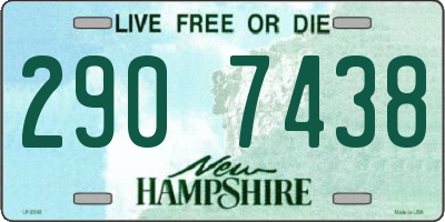 NH license plate 2907438