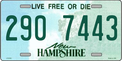 NH license plate 2907443