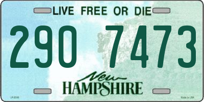 NH license plate 2907473