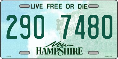 NH license plate 2907480